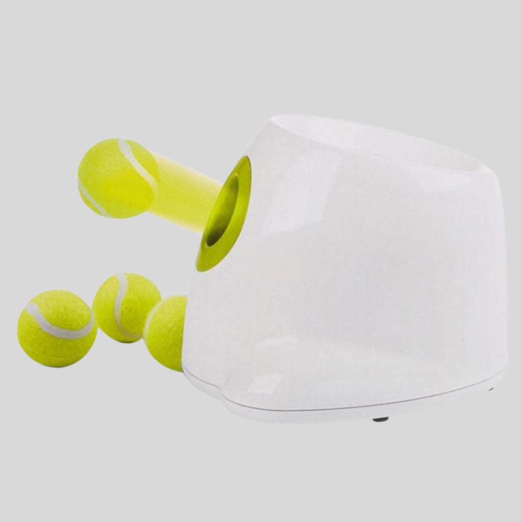 Automatic Dog Ball Launcher - Opulenza