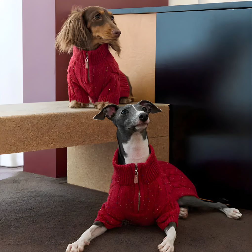 Cable Knit Zipper Collar Dachshund Dog Jumper - Opulenza
