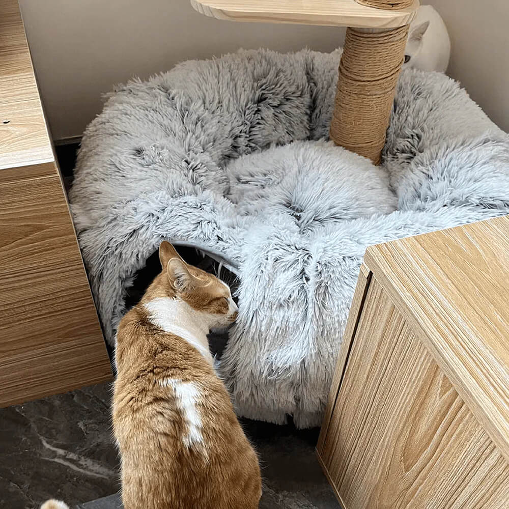 Interactive Cat Tunnel & Bed – Space-Saving Design - Opulenza
