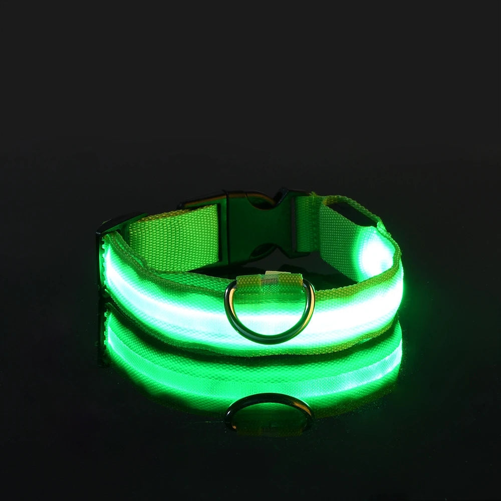 led dog collar – 22