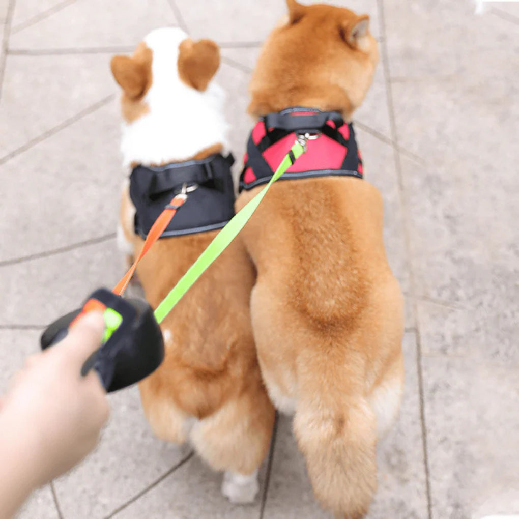Tangle-Free Dual Dog Leash with Flashlight - Opulenza