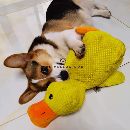 Calming Duck - image 11 of 12