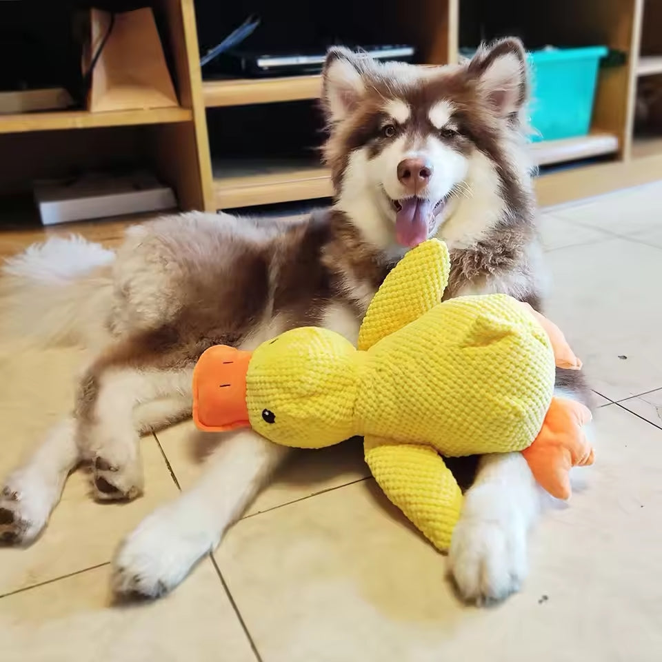 Calming Duck - For Your Dog's Happiness and Wellbeing - Animal care