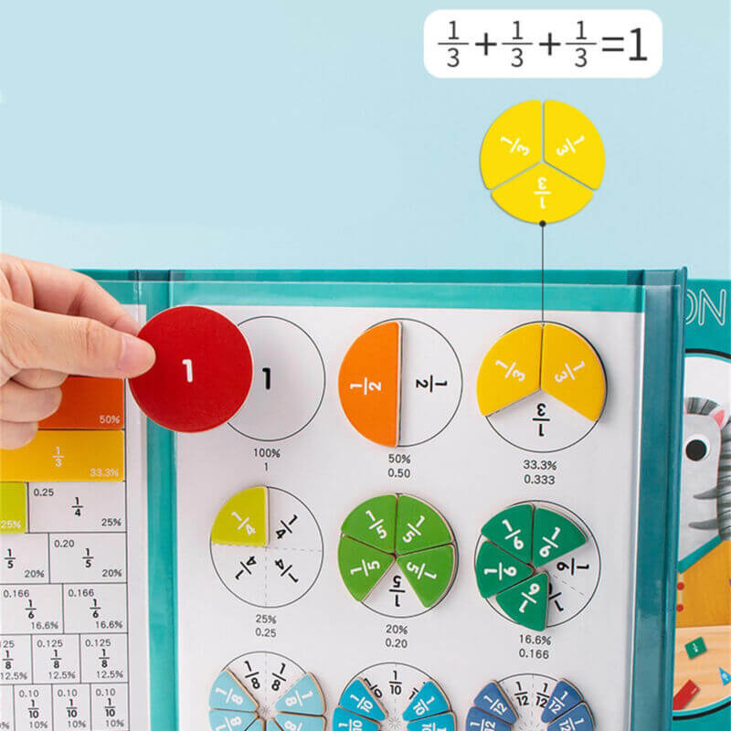 Magnetic Fraction Disc Demonstrator - image 12 of 12
