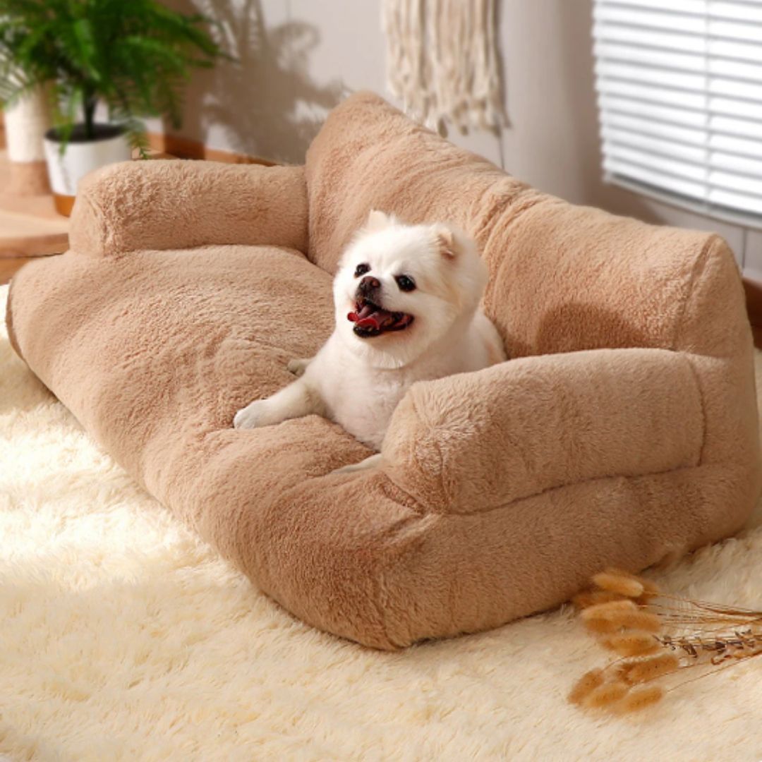 Calming Sofa for Pets - Animal care