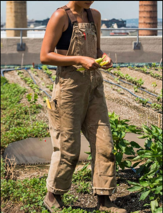 Men's Dungarees - image 6 of 6