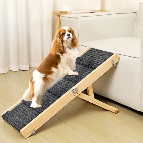 4-Level Adjustable Wooden Dog Ramp - Opulenza