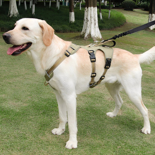 Adjustable Dog Harness - Opulenza