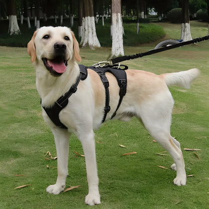 Adjustable Dog Harness - Opulenza