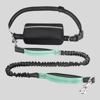 Adjustable Waistband dog leash - Opulenza