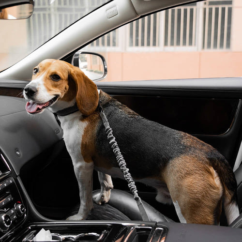 Buffer Adjustable Dog Car Seat Belt - Opulenza