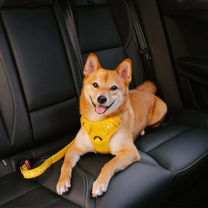 Buffer Adjustable Dog Car Seat Belt - Opulenza