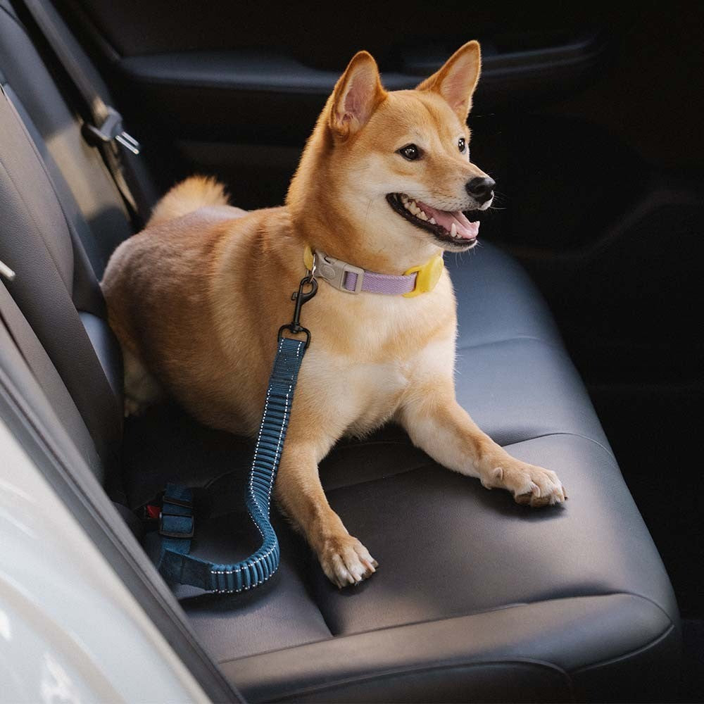Buffer Adjustable Dog Car Seat Belt - Opulenza