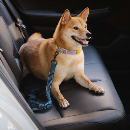 Buffer Adjustable Dog Car Seat Belt - Opulenza