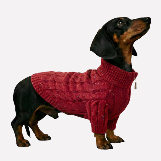 Cable Knit Zipper Collar Dachshund Dog Jumper - Opulenza