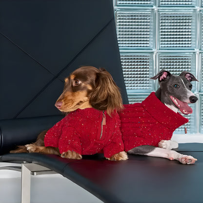 Cable Knit Zipper Collar Dachshund Dog Jumper - Opulenza