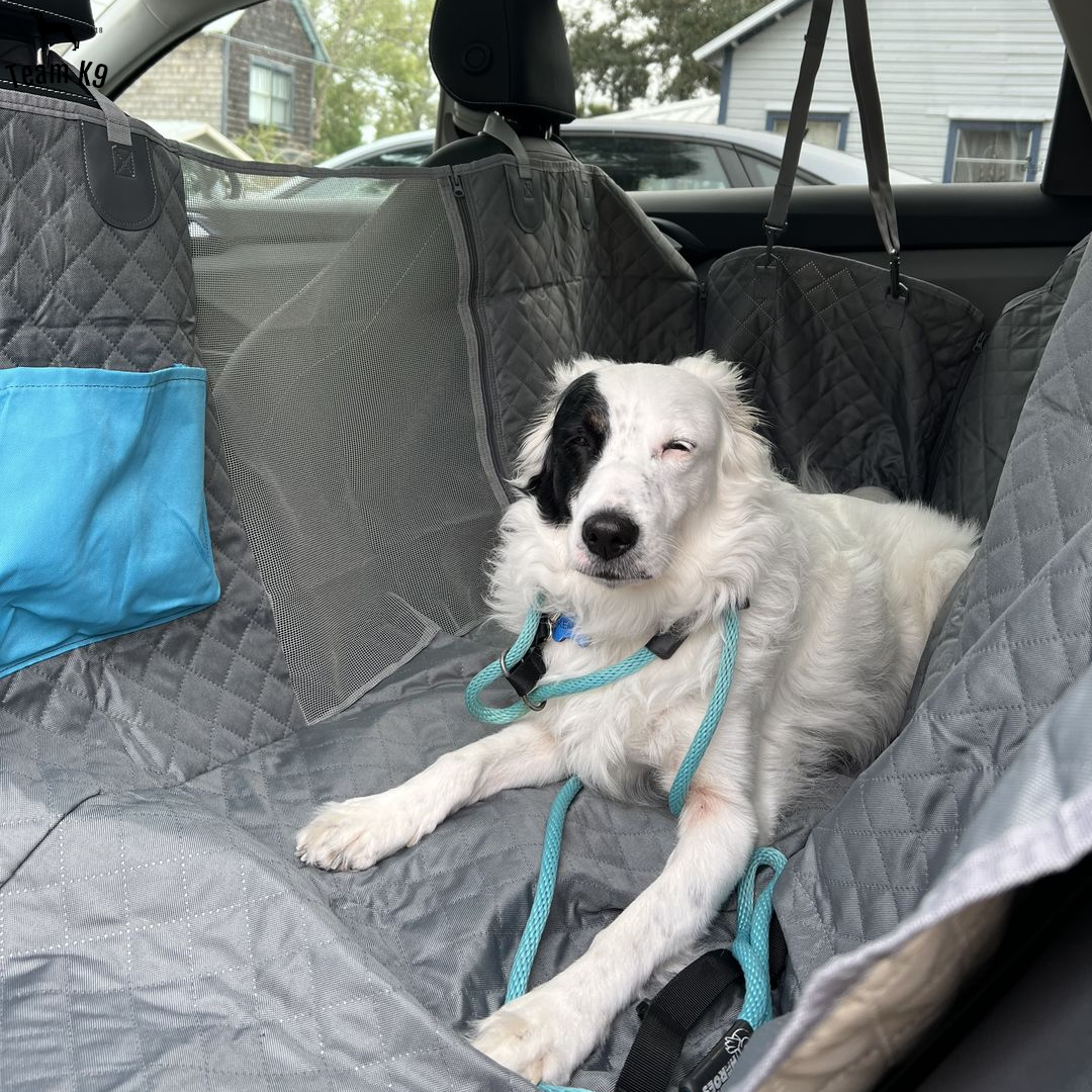 car seat hammock cover – 26