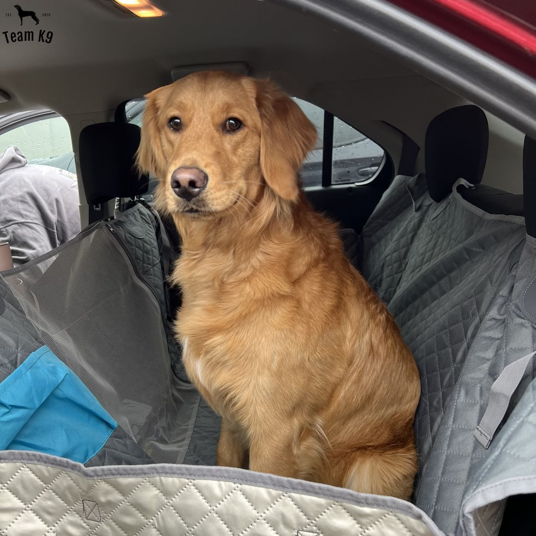 car seat hammock cover – 28