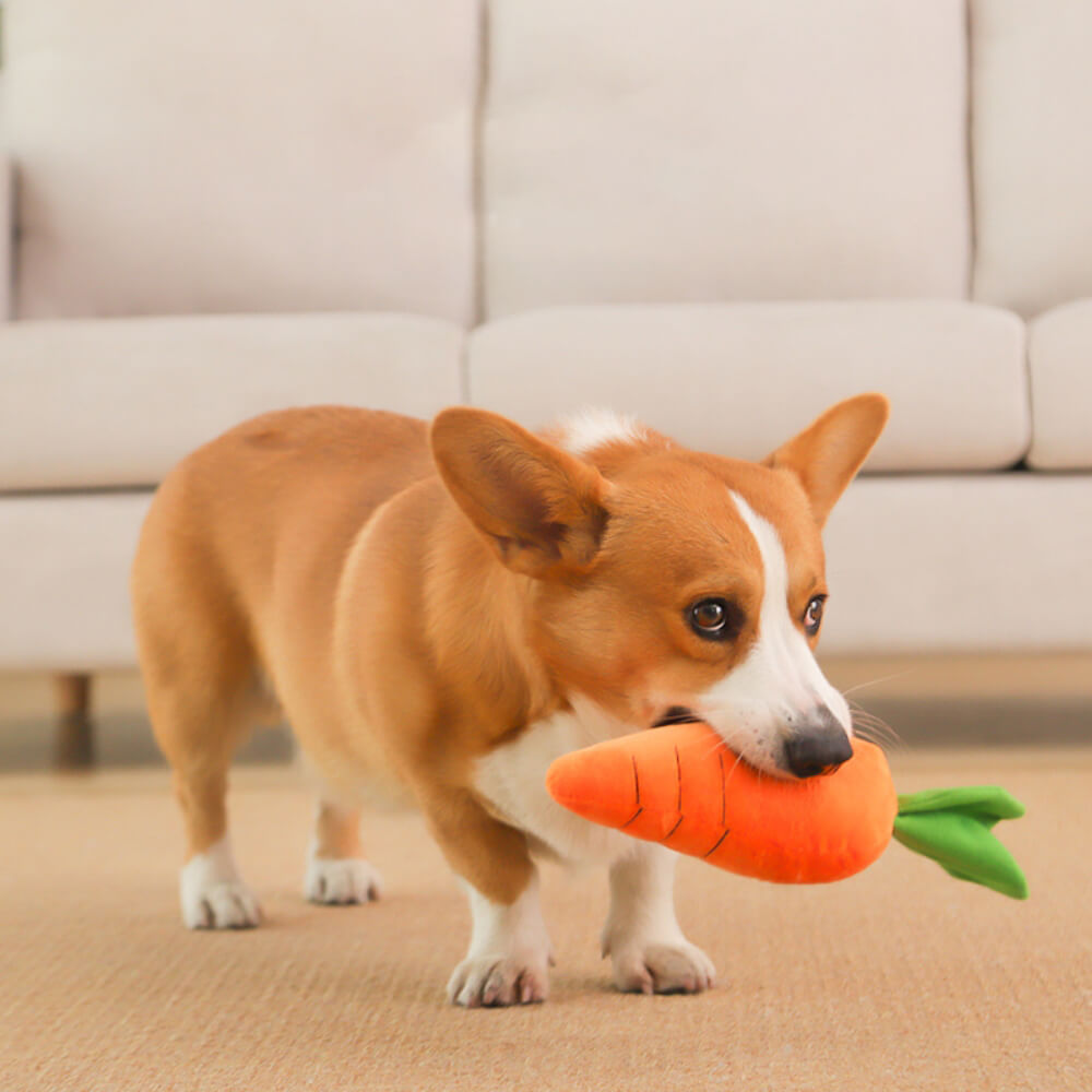 Carrot Squeaky Plush Toy Dog Interactive Toy - Opulenza
