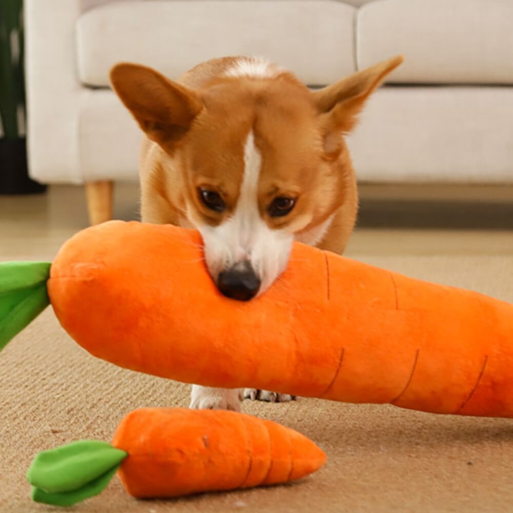 Carrot Squeaky Plush Toy Dog Interactive Toy - Opulenza