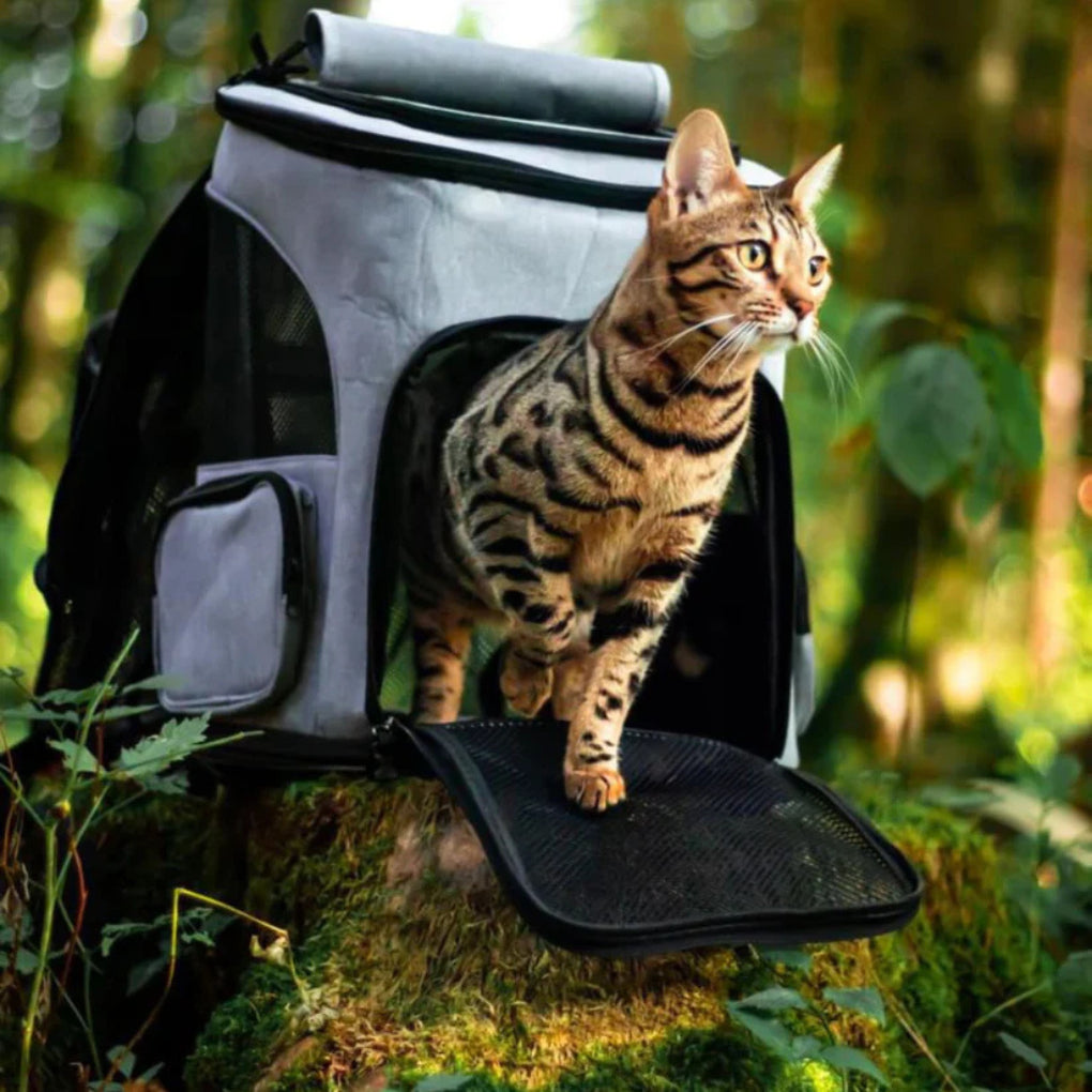 Cat Backpack Safe Travel & Comfort - Opulenza