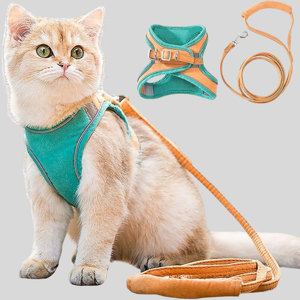 Cat Harness & Leash Set - Opulenza