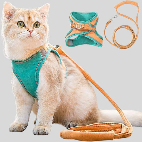 Cat Harness & Leash Set - Opulenza