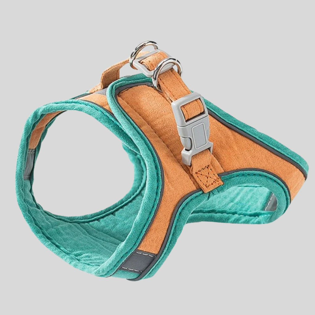 Cat Harness & Leash Set - Opulenza