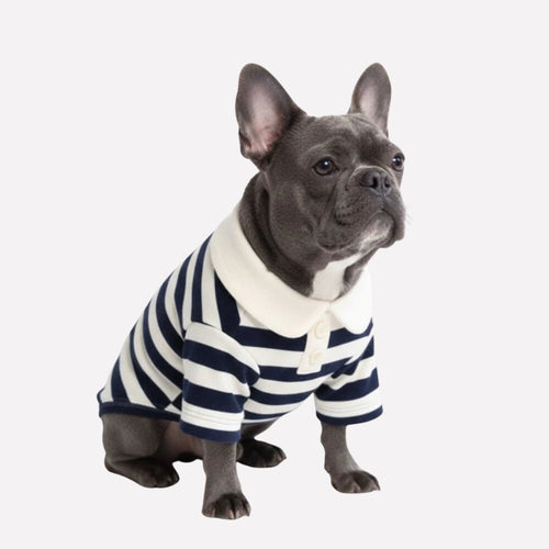 Classic Striped Polo Dog Shirt - Opulenza