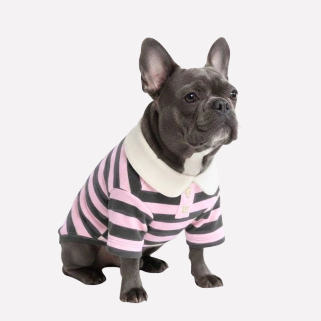Classic Striped Polo Dog Shirt - Opulenza