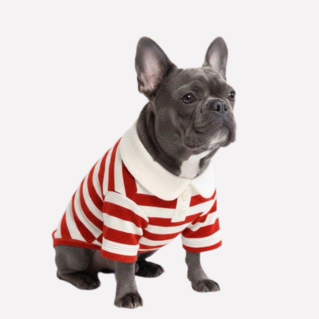 Classic Striped Polo Dog Shirt - Opulenza