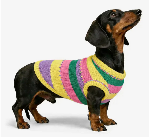 Color-Blocked Striped Sleeveless Dog Jumper - Opulenza