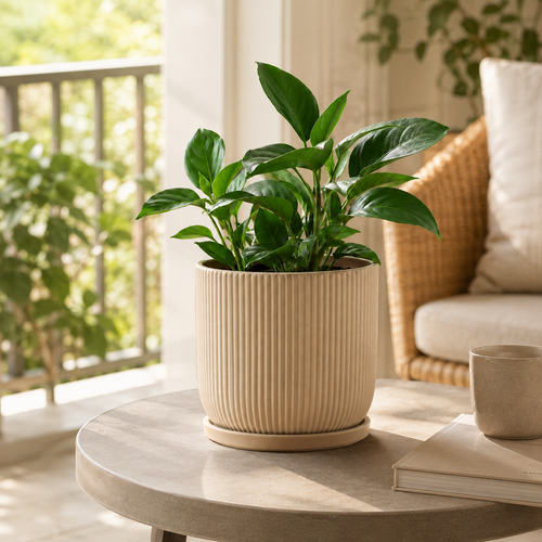 Cream ribbed ceramic indoor planter with green plant in modern home interior - image 1