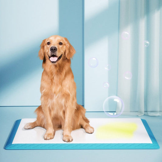 Disposable Absorbent & Leak-Proof Pet Training Pads - Opulenza