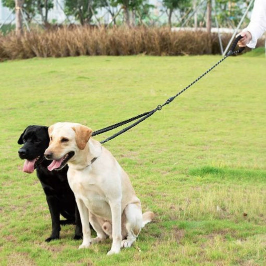 DualEase No-Tangle Dog Lead – Control & Comfort for Two Dogs - Opulenza