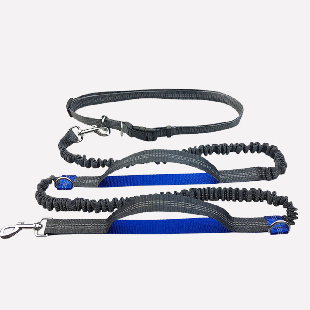 Hands‑Free Dog Running Leash - Opulenza