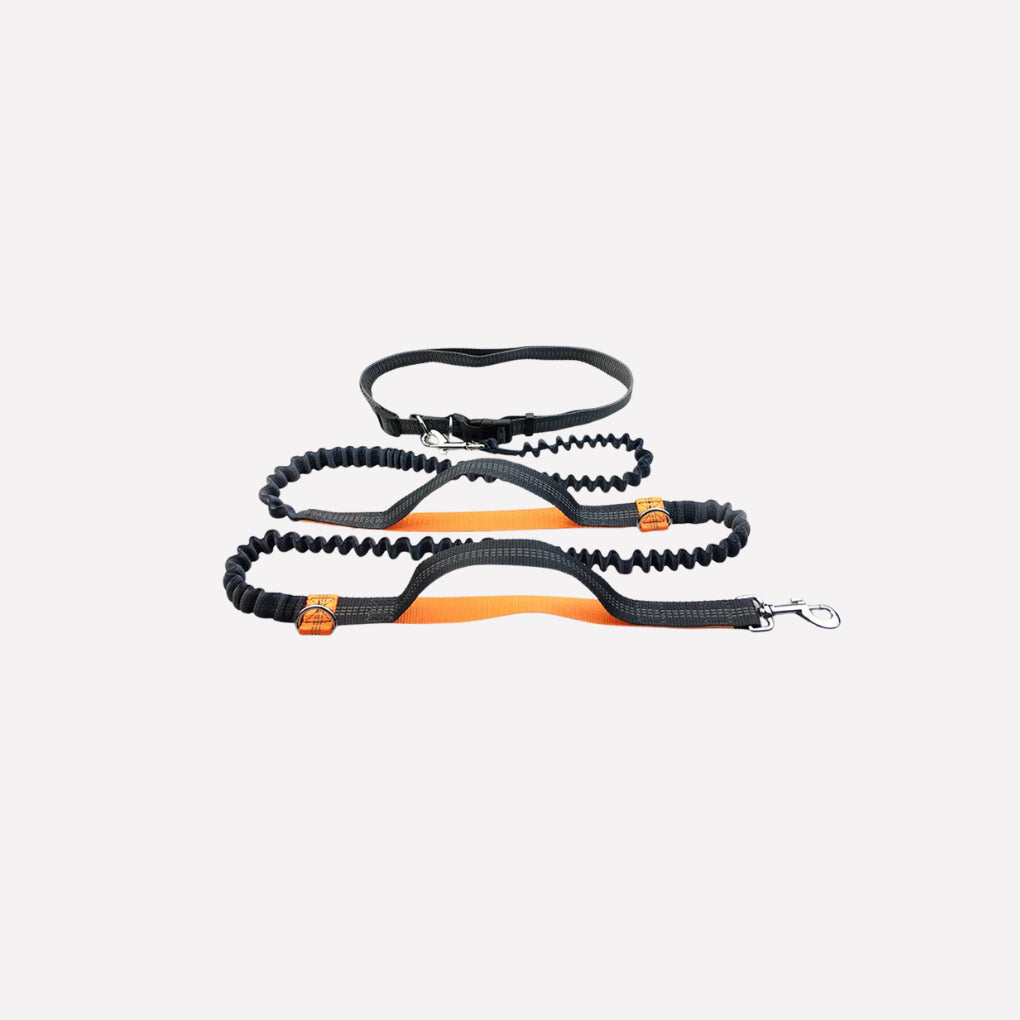 Hands‑Free Dog Running Leash - Opulenza