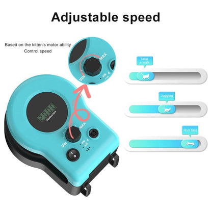 Interactive Cat Toy Motion Based Game for Indoor Cats - Opulenza