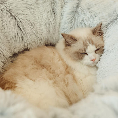 Interactive Cat Tunnel & Bed – Space-Saving Design - Opulenza