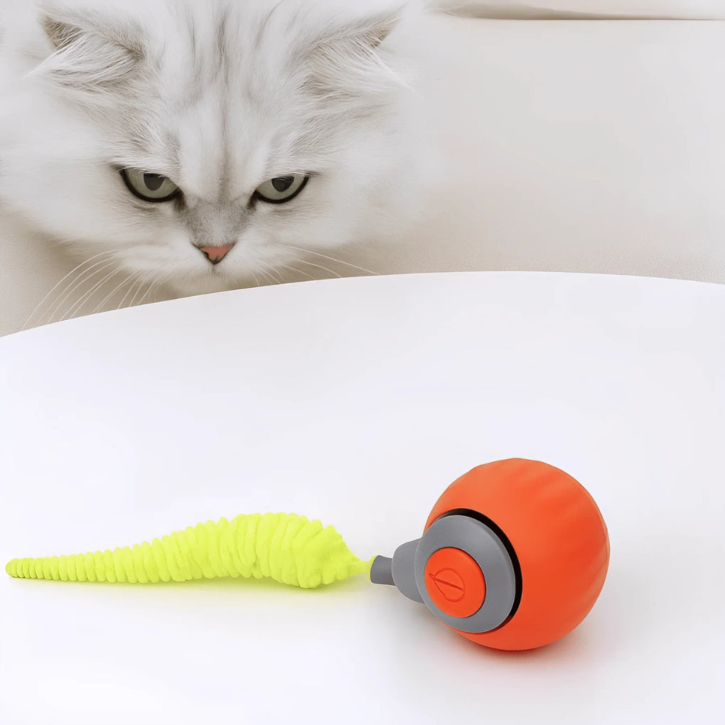 Interactive Rolling Ball Toy - Opulenza