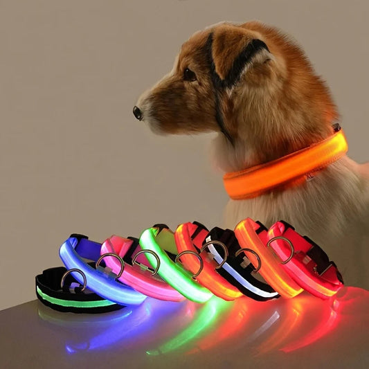 led dog collar