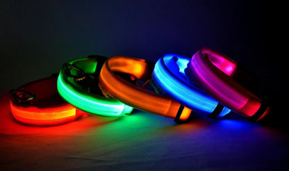 led dog collar – 13