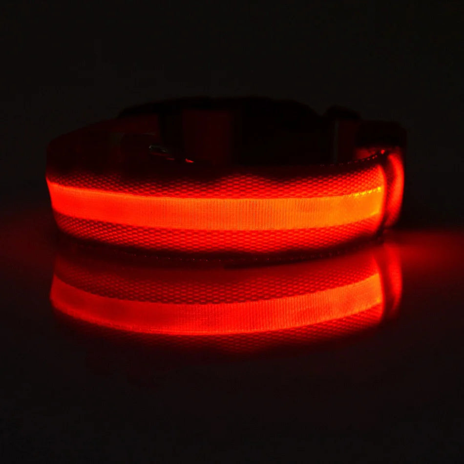 led dog collar – 14