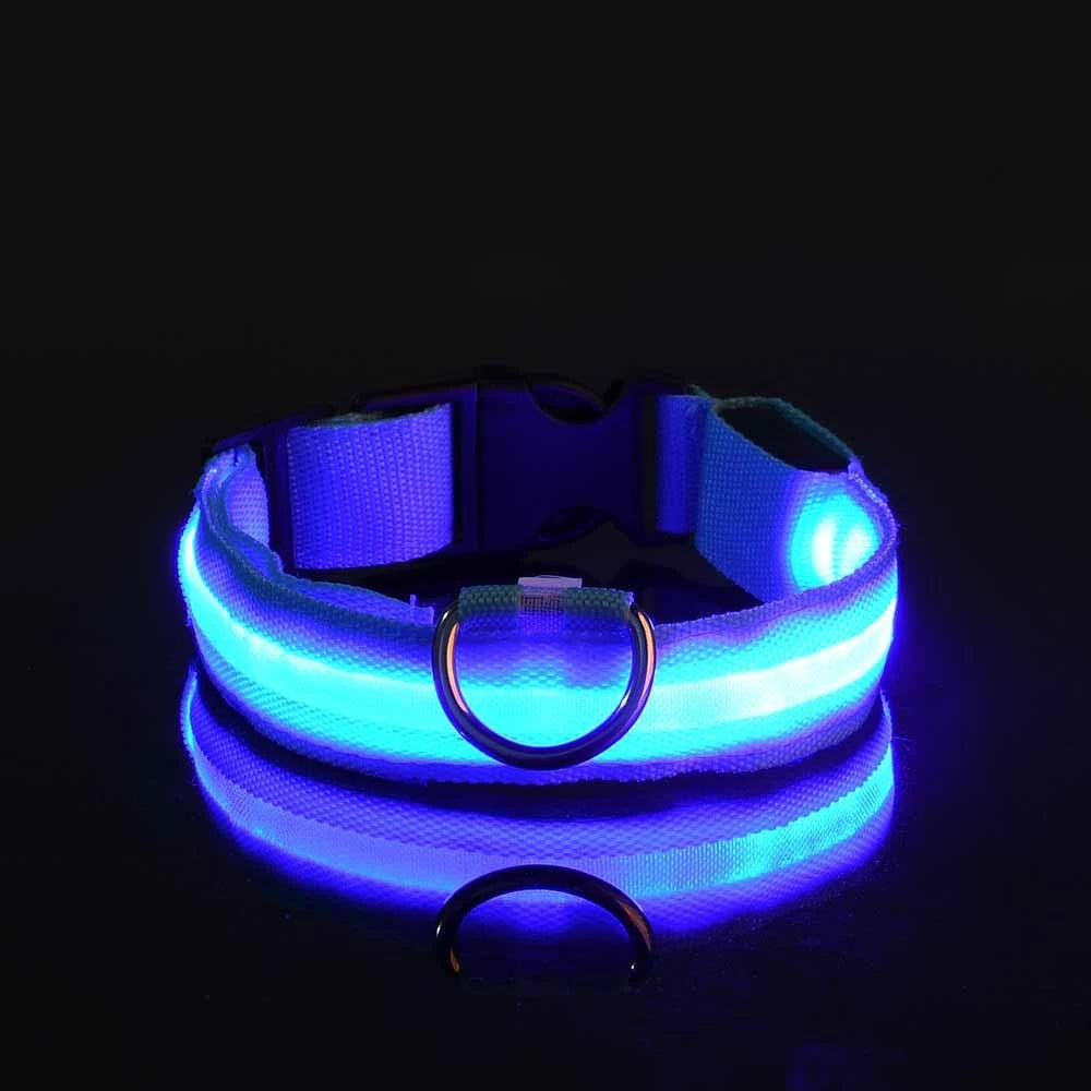 led dog collar – 17