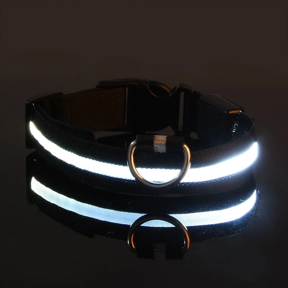 led dog collar – 19