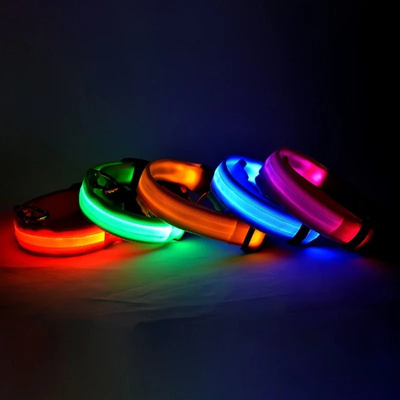 led dog collar – 6
