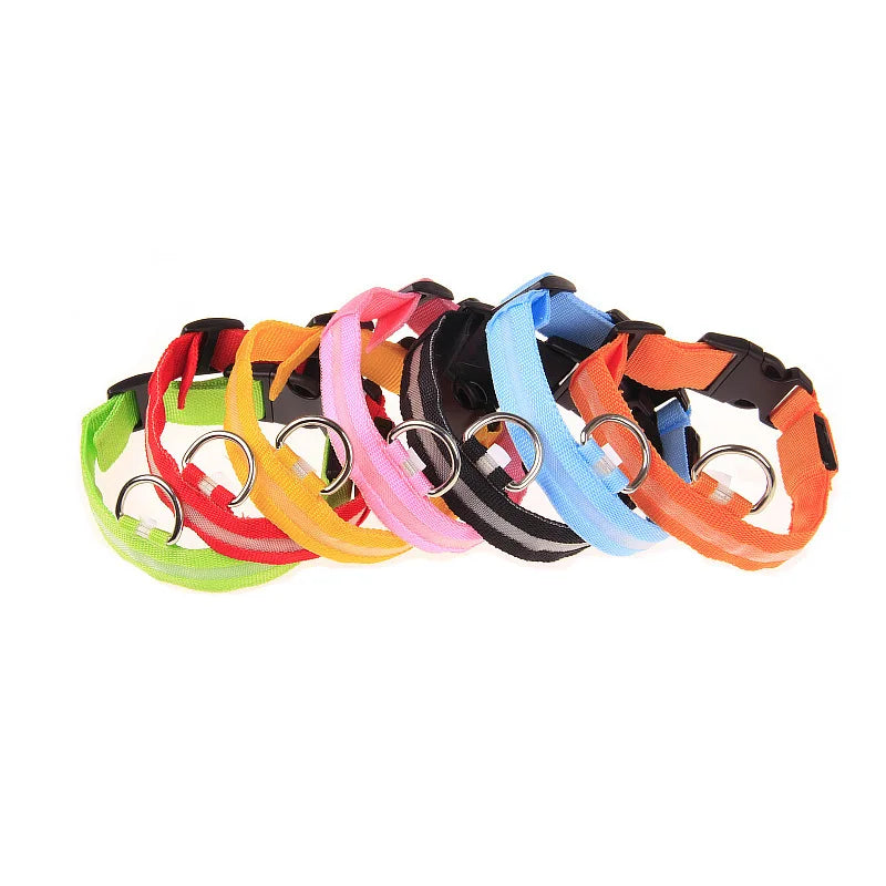 led dog collar – 7