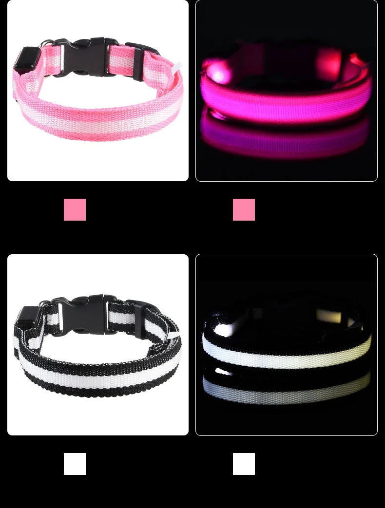 led dog collar – 8
