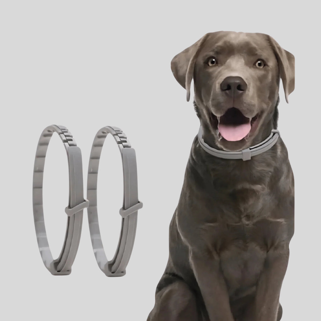 Natural Anti-Tick Pet Collar - Opulenza