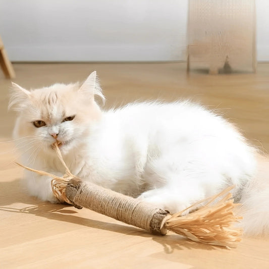 Natural Chewing Sticks for Cats - Opulenza